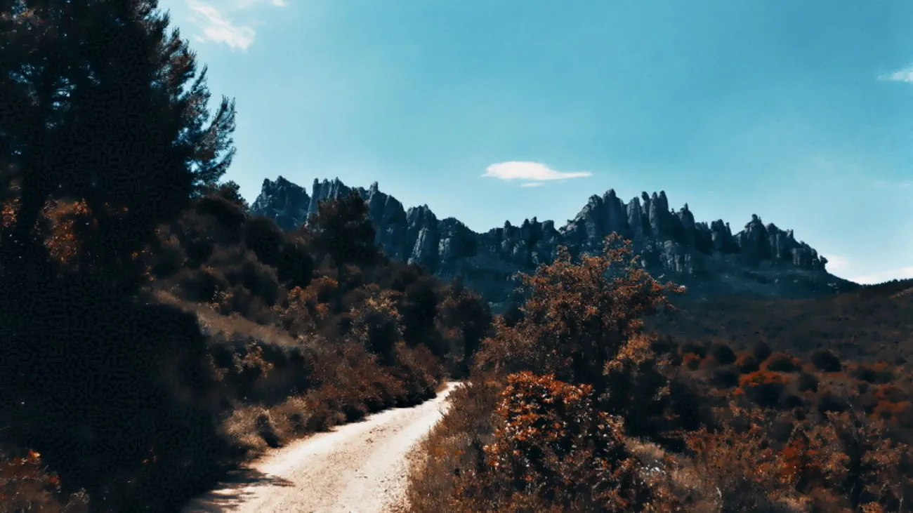 About Di Ronco • Tools