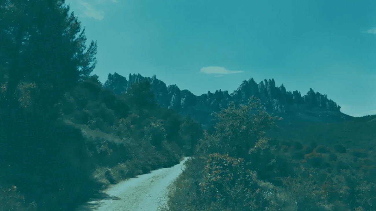 Interplanetary File System